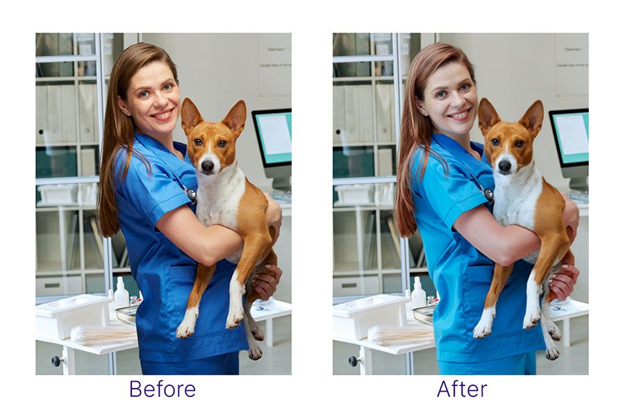 Before and after Harmonize, side by side. Before, the veterinarian and dog look flatter and duller than the clinic behind them. After, their color and brightness match the clinic's cooler, brighter light.